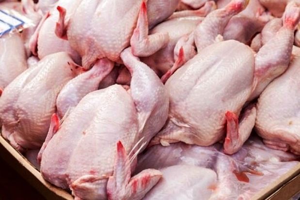 آخرین پیش بینیها درباره نرخ مرغ آخرین پیش بینیها درباره نرخ مرغ