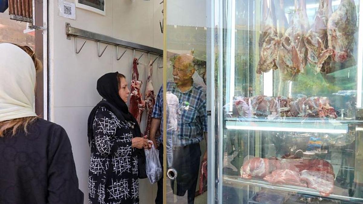 «قصابم ولی هفتههاست که دیگه گوشت نمیخورم» «قصابم ولی هفتههاست که دیگه گوشت نمیخورم»