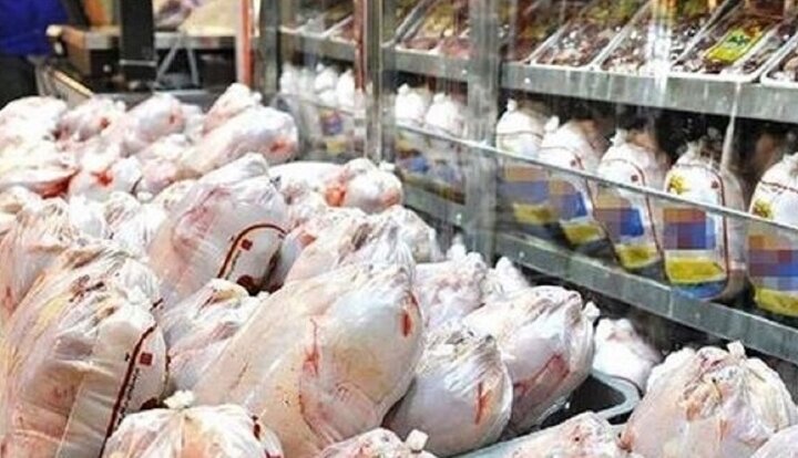 عرضه مرغ ۴۸ هزار تومانی در بازار عرضه مرغ ۴۸ هزار تومانی در بازار